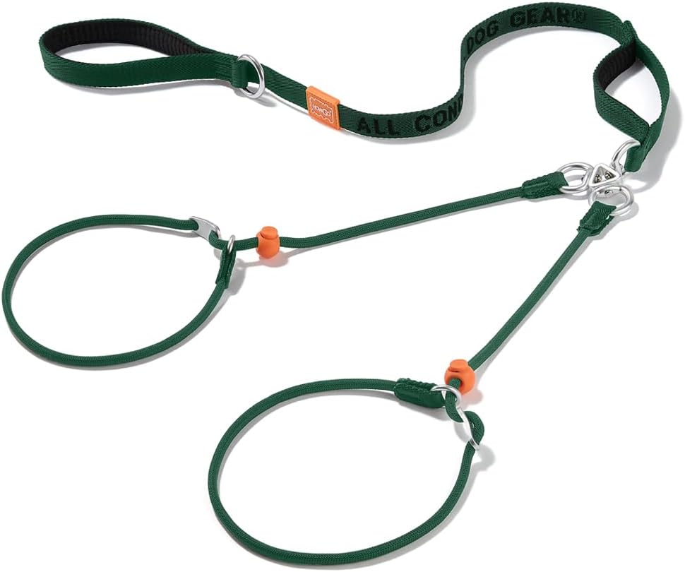 Howgo Double Slip Leash Slip Lead with Two Handles| Dual Dog Slip Lead for 2 Dogs,360° Swivel No Tangle | Dog Training Collar | Double Clip Leash Coupler and Splitter (Green, 6FT)