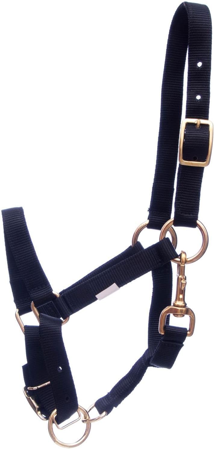 Jeffers Han Lien International 3/4" Nylon Adjustable Horse Halters