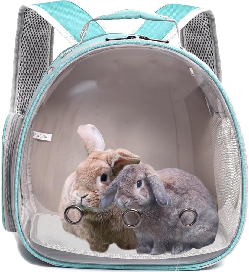 Guinea Pig Backpack Carrier, Bearded Dragon Carrier Backpack with Clear Bubble Window,Small Animal Travel Backpack for Hedgehog Rat,Chameleon,Rabbit,Sugar Glider,Airline Approved (Green, Backpack)