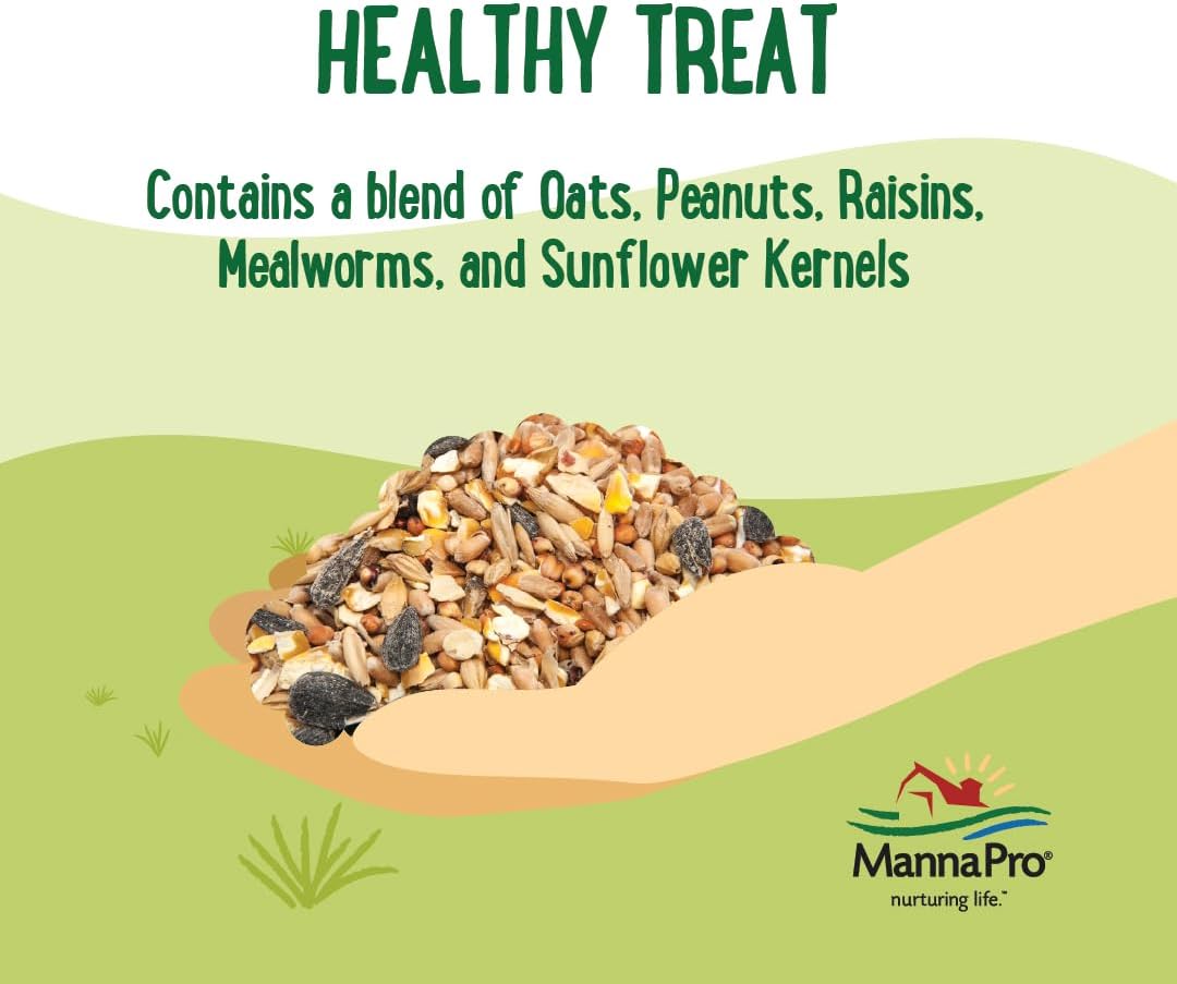 Manna Pro Farmhouse Favorites Oat & Mealworm Mix Poultry Treat – Natural Protein Source – Encouraging Poultry Treat – Mix of Oats, Peanuts, Raisins, Mealworms, Sunflower Kernels – 2lbs