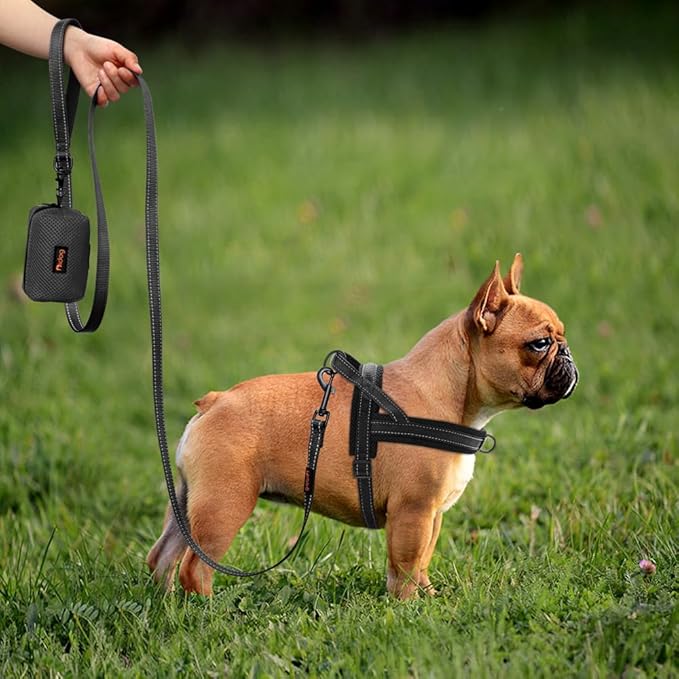 Didog No Pull Dog Harness with Soft Mesh Padded,Reflective & Quick Fit Light Weight Dog Strap Vest Harness,Easy for Walking Training (XS:Chest 15-18", Mesh-Black)