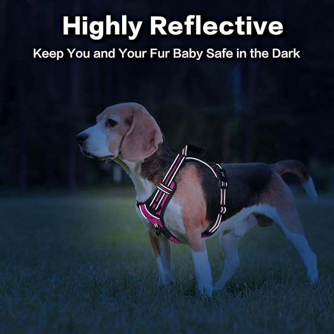 PoyPet No Pull Dog Harness, No Choke Front Clip Reflective Dog Vest with Soft Padded Vertical Handle, 3 Leash Attachments for Small Medium Large Dogs (Pink,L)