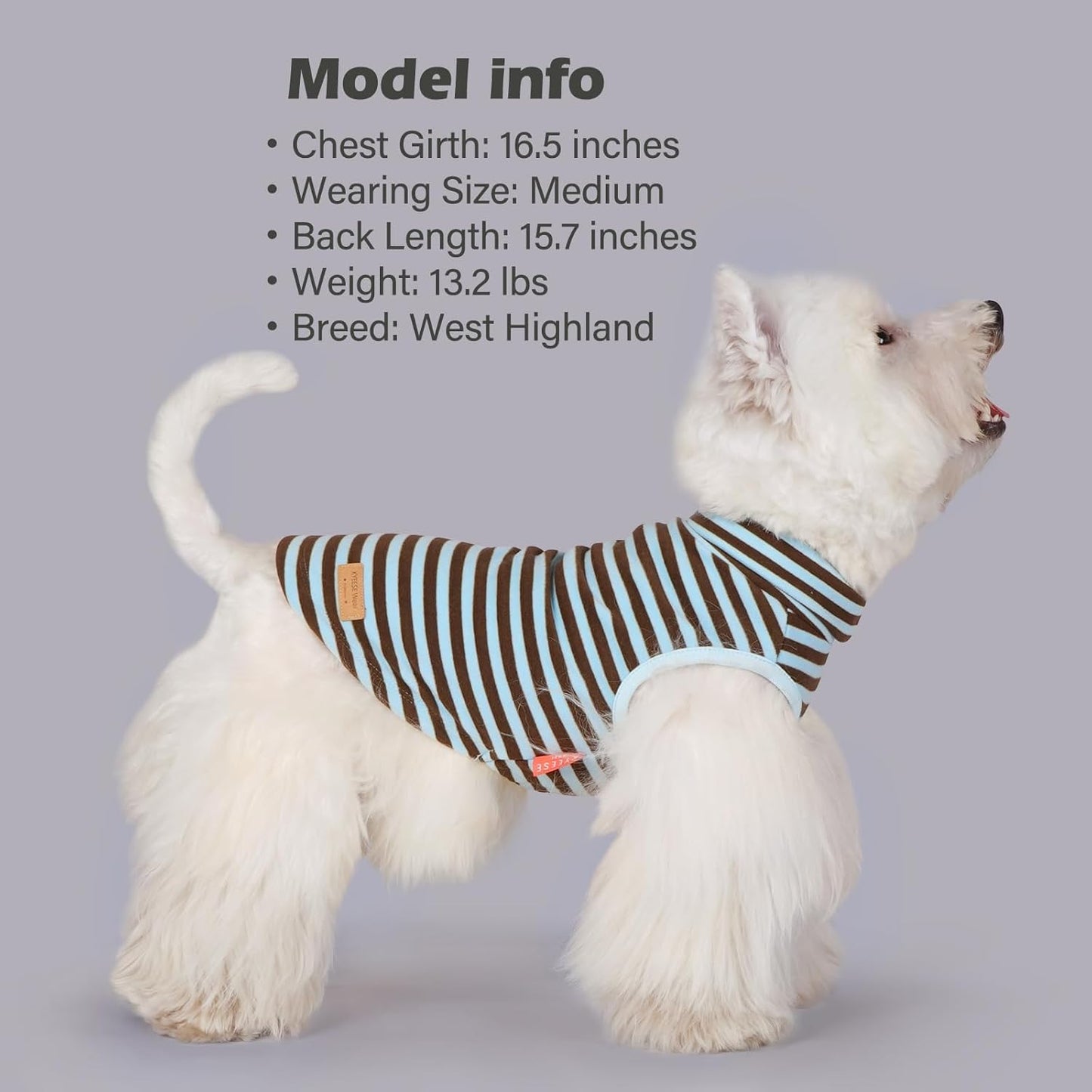 KYEESE 2Pack Dog Sweater Turtleneck Pet Clothes Warm Dogs Coats Stretchy Large Dog Sweaters for Medium Dogs Boy Pullover Pet Sweatshirt