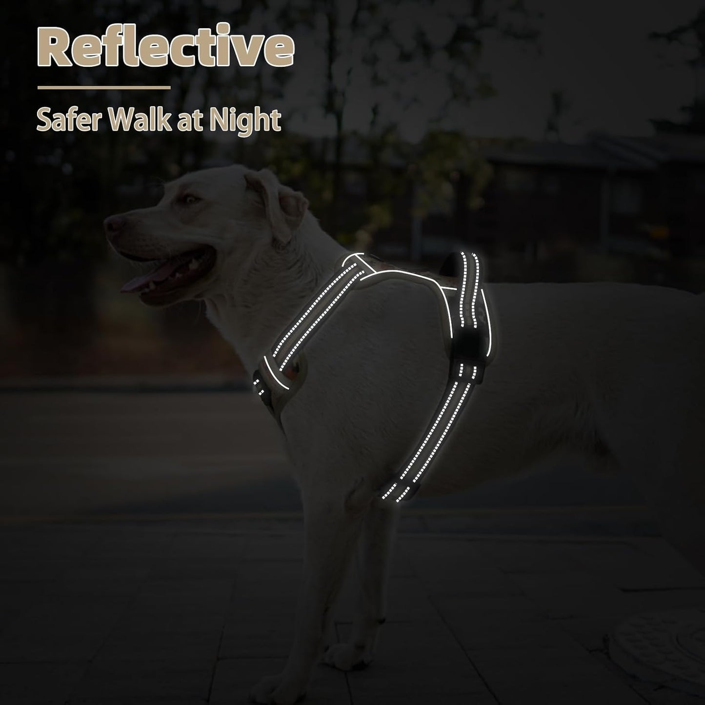 PUPTECK No Pull Dog Harness Small Sized, Adjustable Reflective Dog Harness with Handle Easy Control, Comfortable Soft Padded Pet Vest Harness for Small Dogs, Camouflage S