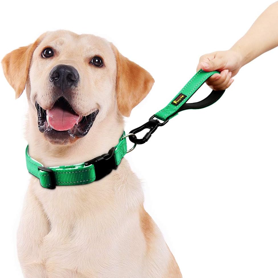 PLUTUS PET 10” Short Dog Leash, Reflective Nylon Padded Handle, Strong Traffic Leash with Carabiner Clip, Perfect for Large or Medium Dogs(10”,Green
