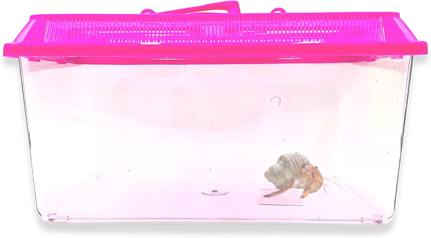 Needzo Mini Neon Plastic Reptile Carrier, Small Terrariums for Hermit Crabs, Lizards, and More with Palm Tree Accessory, Crab Hunting Supplies, Color May Vary, 7 Inches