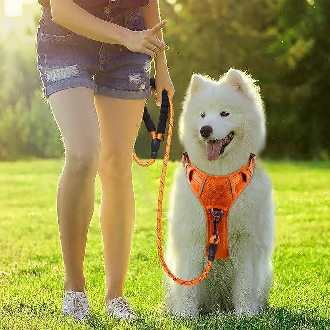 BARKBAY Dog Harness No Pull with ID Tag Pocket - Heavy Duty, Reflective, Easy Control for Large Dogs(Orange,S)