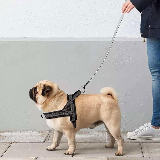 Didog No Pull Dog Harness with Breathable Mesh Padded, Full Reflective & Quick Fit Adjustable Vest Harness, Easy for Training Walking for Small & Medium and Large Dogs (Black, L:Chest 26-32")
