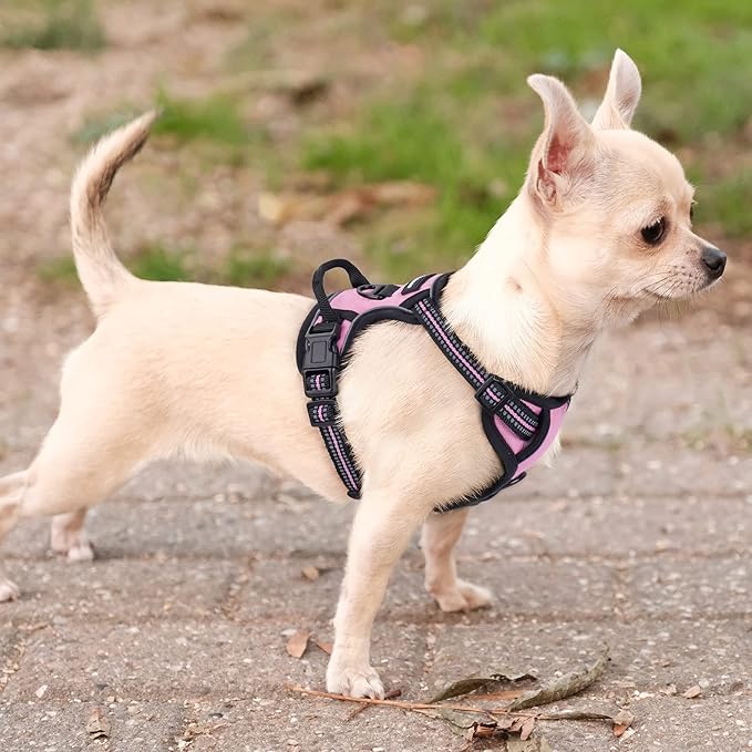 rabbitgoo Dog Harness No Pull with 2 Leash Clips, Adjustable Soft Padded, Reflective Oxford No Choke Pet Vest with Easy Control Handle for Puppy, Pink, XS
