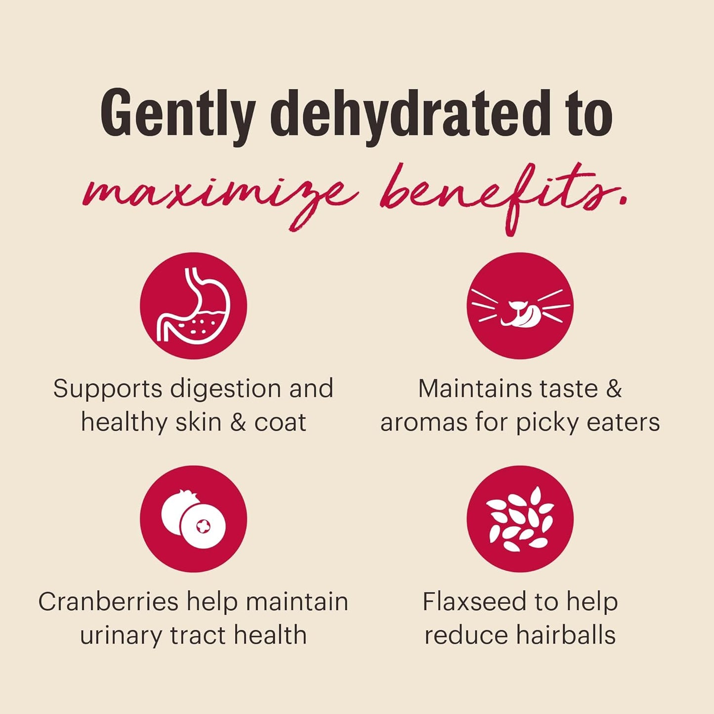 The Honest Kitchen Dehydrated Grain Free Chicken & Fish Cat Food, 4 lb Box