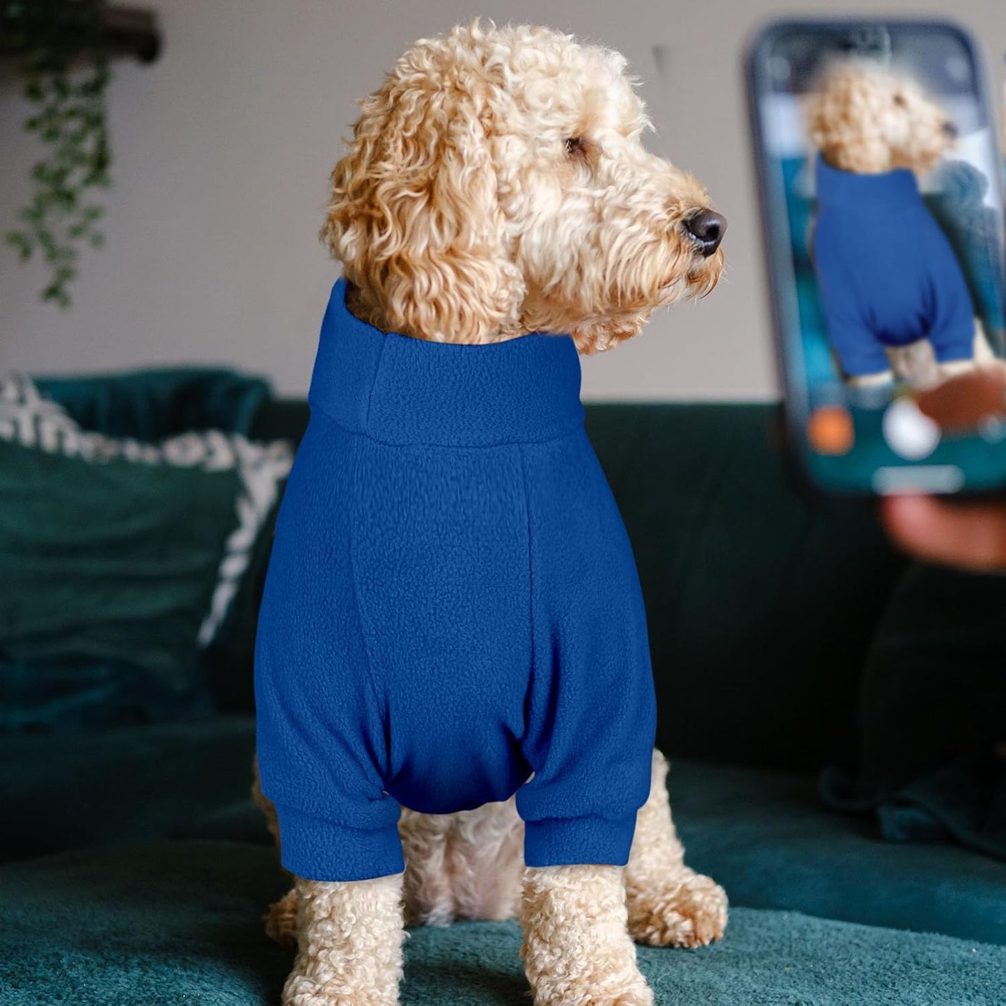 3 Pack Dog Sweater Fleece Pet Clothes Turtleneck Soft Warm Sweatshirt Dog Sweaters for Small Dogs Sweaters for Medium Dogs Boy Girl Pet(Gray+Royal Blue+Navy,S/M)