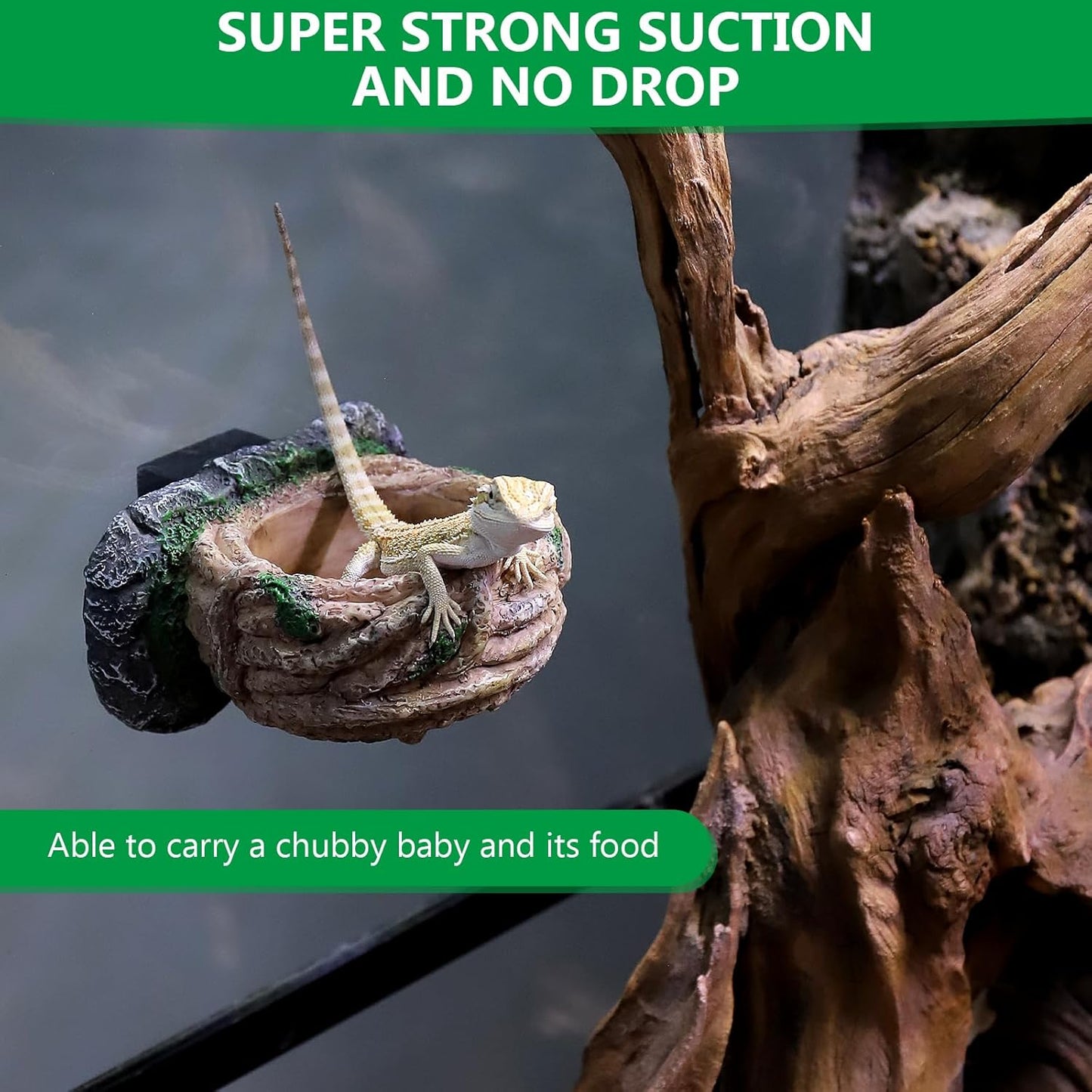 Magnetic Reptile Feeding Ledge, Gecko Feeder Ledge with One Piece Cup, Hollow Vine Food Dish, Reptile Water Bowl for Bearded Dragon Lizard Snake