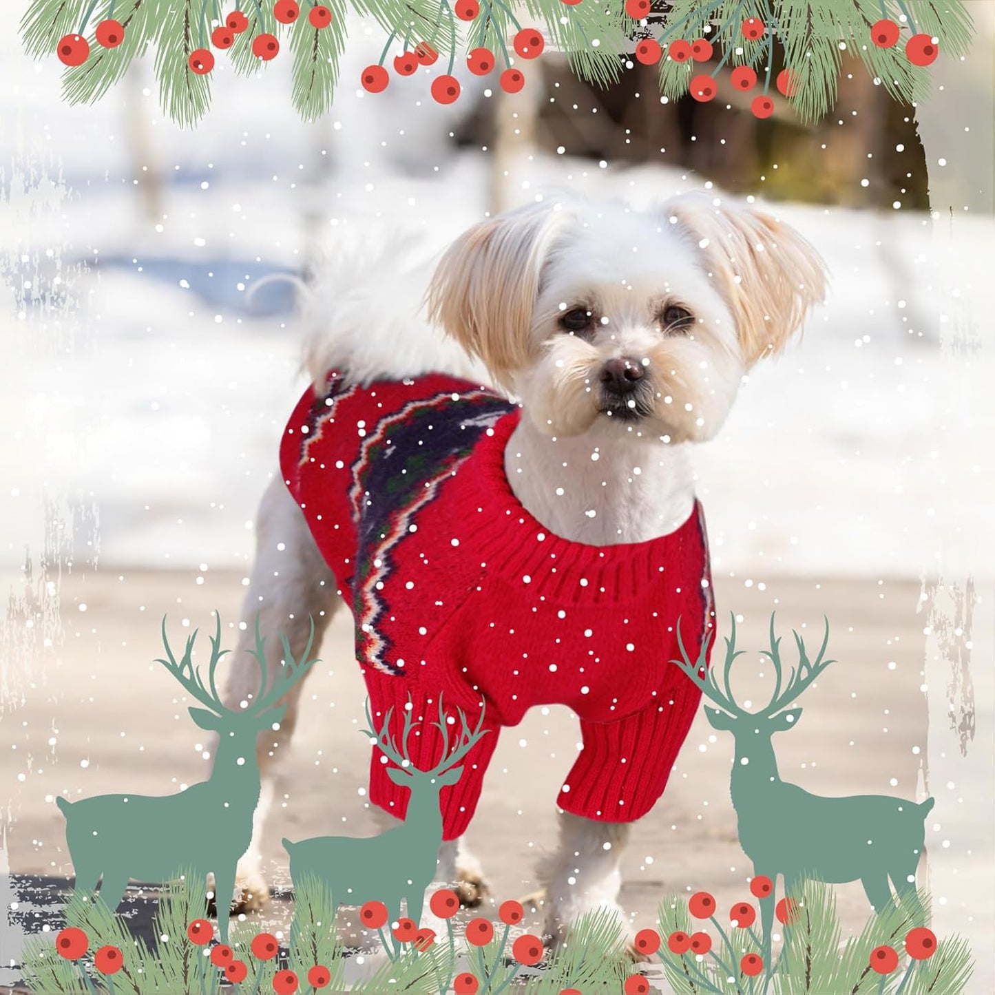 Queenmore Christmas Dog Sweater,Knitted Pullover Christmas Clothes for Dogs,Turtleneck Doggy Christmas Outfit, Warm Dog Sweaters for Small Dogs Boys or Girls L
