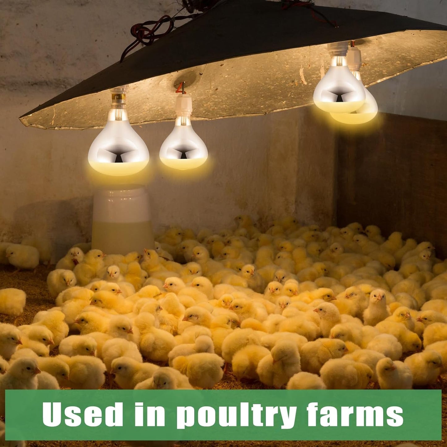 VIHOSE 4 Pack 250 Watt Heat Lamp 120v R40 Heat Lamp Bulbs Glass Incandescent Light Bulbs Incandescent Heating Lightbulbs for Reptiles Chicks Food Puppies Bathroom, Use E26 Base (Silver)