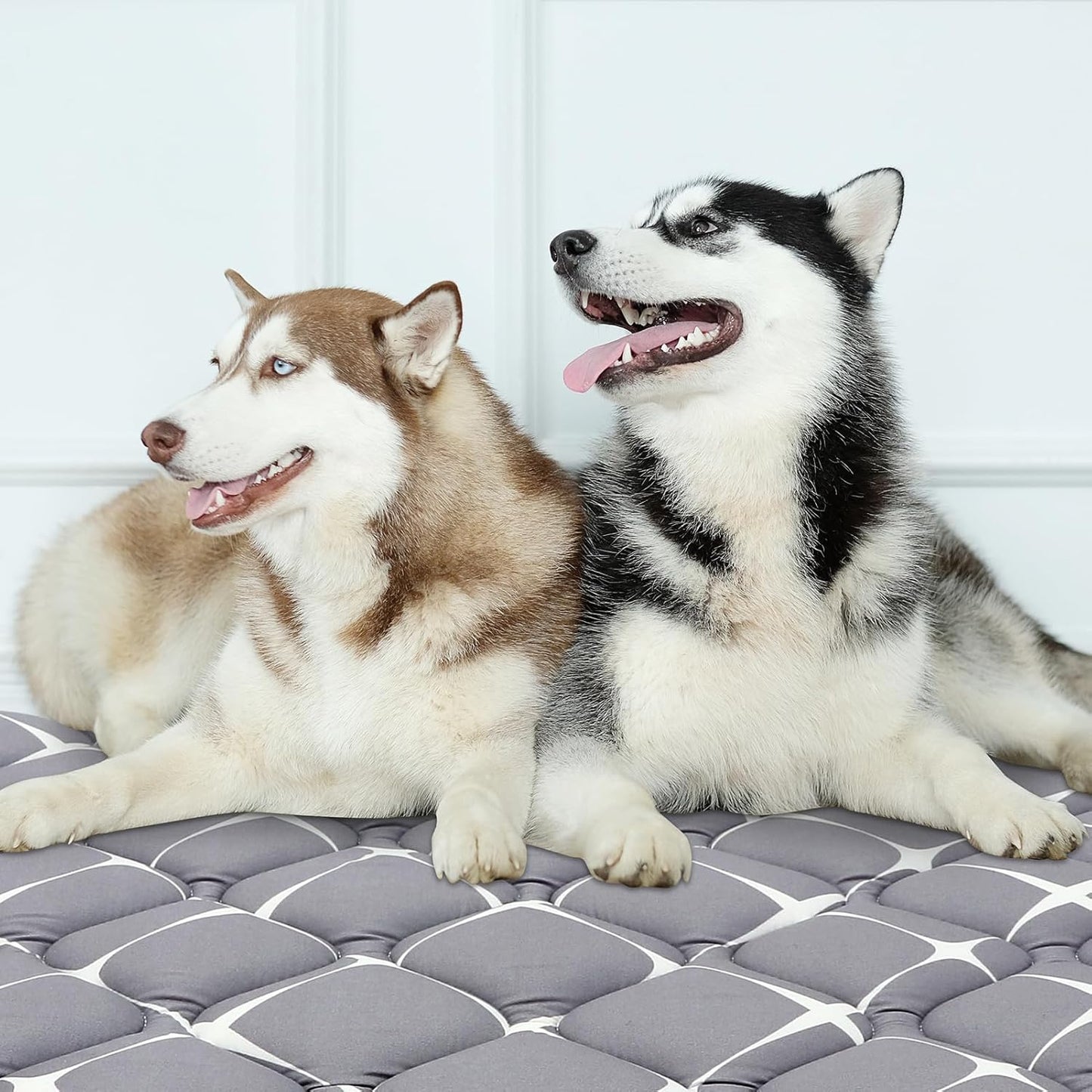 Bubble bear Dog Crate Mat - Ultra Soft, Washable & Anti-Slip Kennel Pad for Small/Medium/Large Dogs, Dark-Hued to Hide Stains (48"x30")