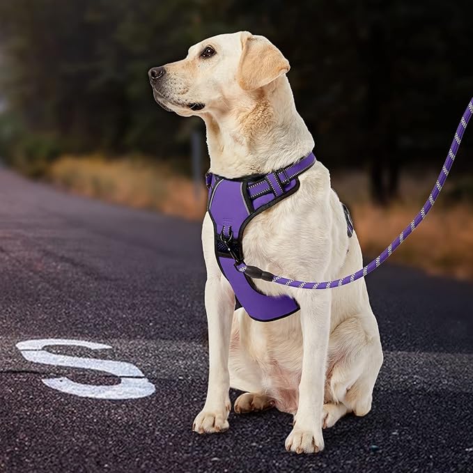IVY&LANE No Pull Dog Harness for Large Dogs, Dog Vest Harness with Leash, Safety Belt and Storage Strap, Fully Adjustable Harness, 360° Reflective Strip, Soft Handle (Purple, XL)