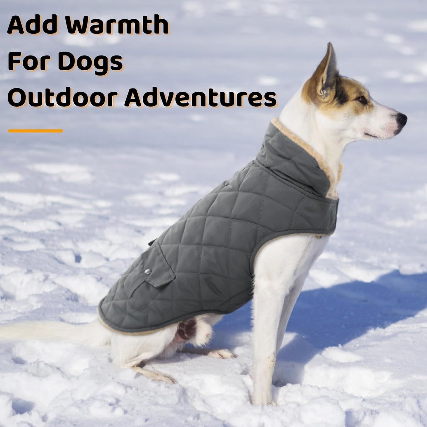 Queenmore Dog Winter Coat - Fleece Jacket, Waterproof Cold Weather Clothes, Thick Warm Cotton Padding, Easy On Storage Pockets (Grey, Medium)
