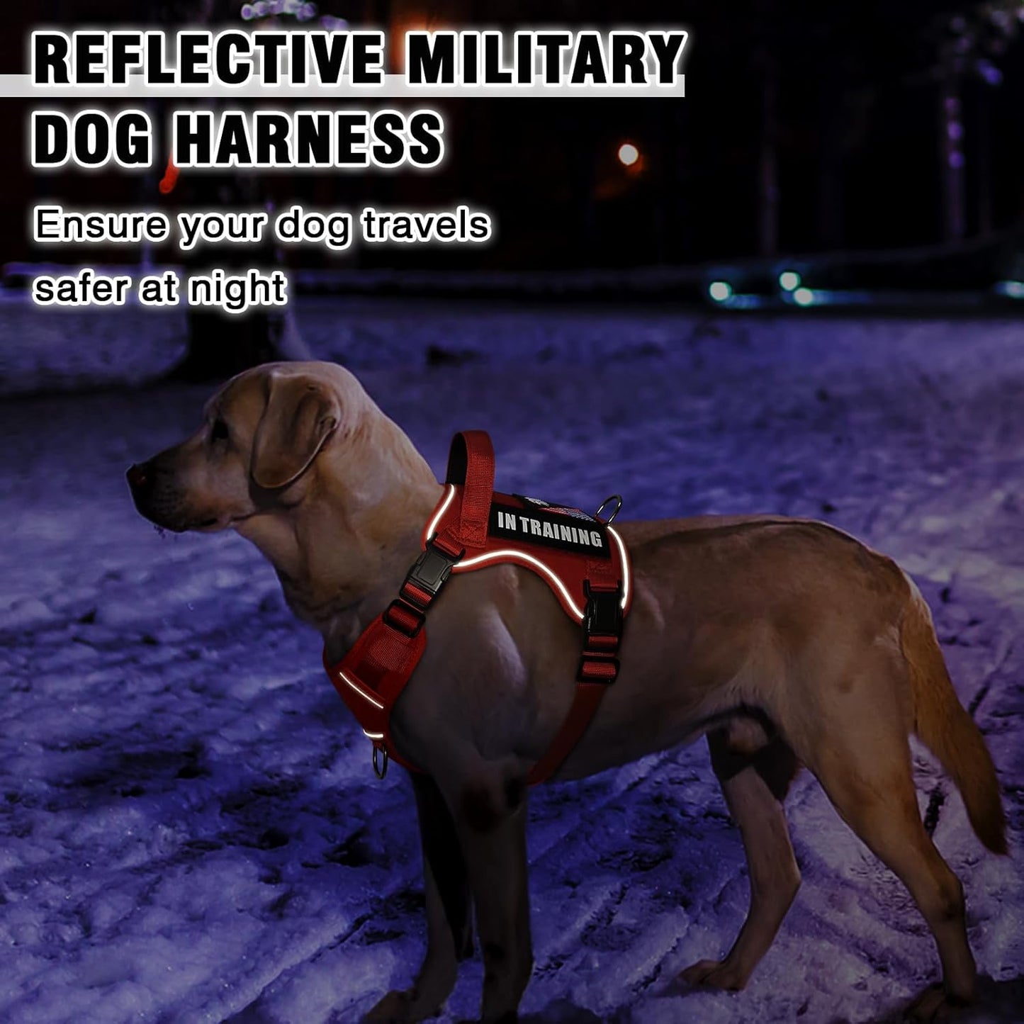 WINSEE Service Dog in Training Harness with 5 PCS Patches, Reflective Tactical Dog Vest Harness, Adjustable Soft Oxford Pet Harness with Easy Control Handle, Hook & Loop Panels for Walking Hiking