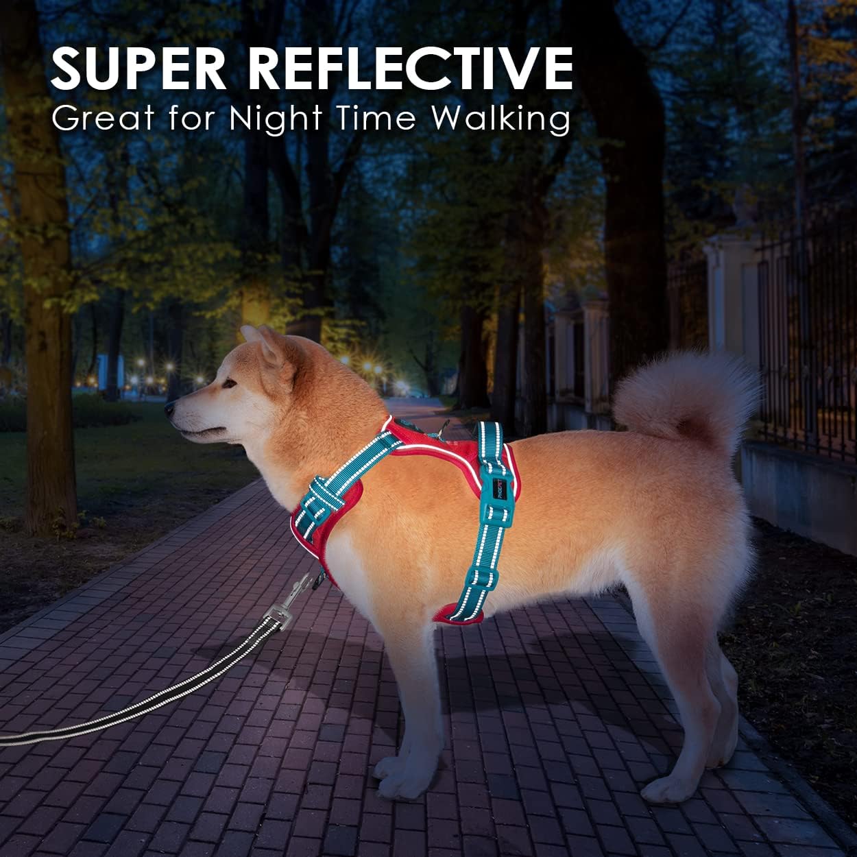 PHOEPET No Pull Dog Harness, Unique Colors Reflective Adjustable Dog Vest, with Soft Training Handle Metal Clips for Small Medium Large Dogs (Red Base & Teal Straps,S)