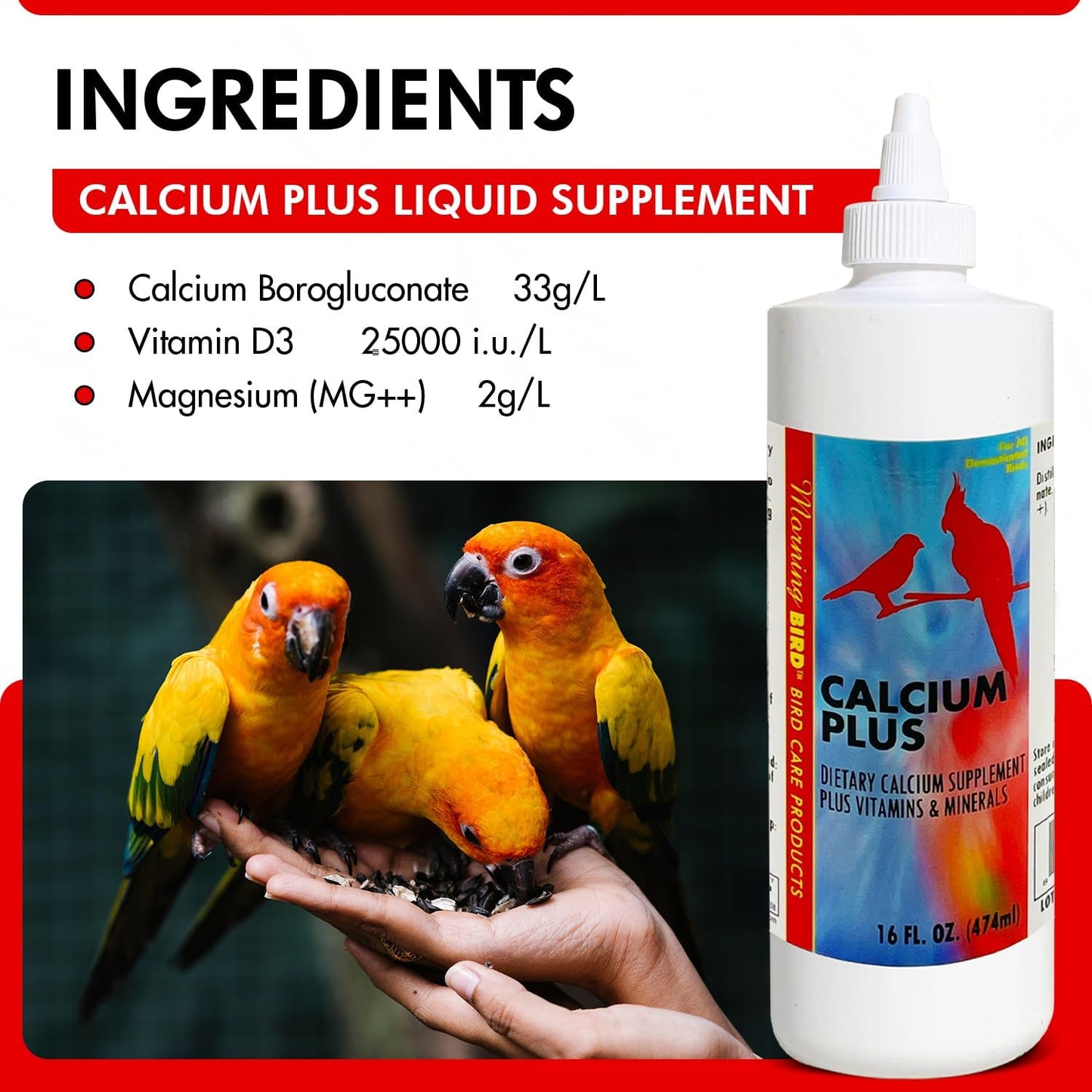 Morning Bird Calcium Plus Liquid Supplement for Birds - Liquid Calcium Formula with Magnesium and Vitamin D3 Calcium Supplement for All Birds – 16 Fl Oz