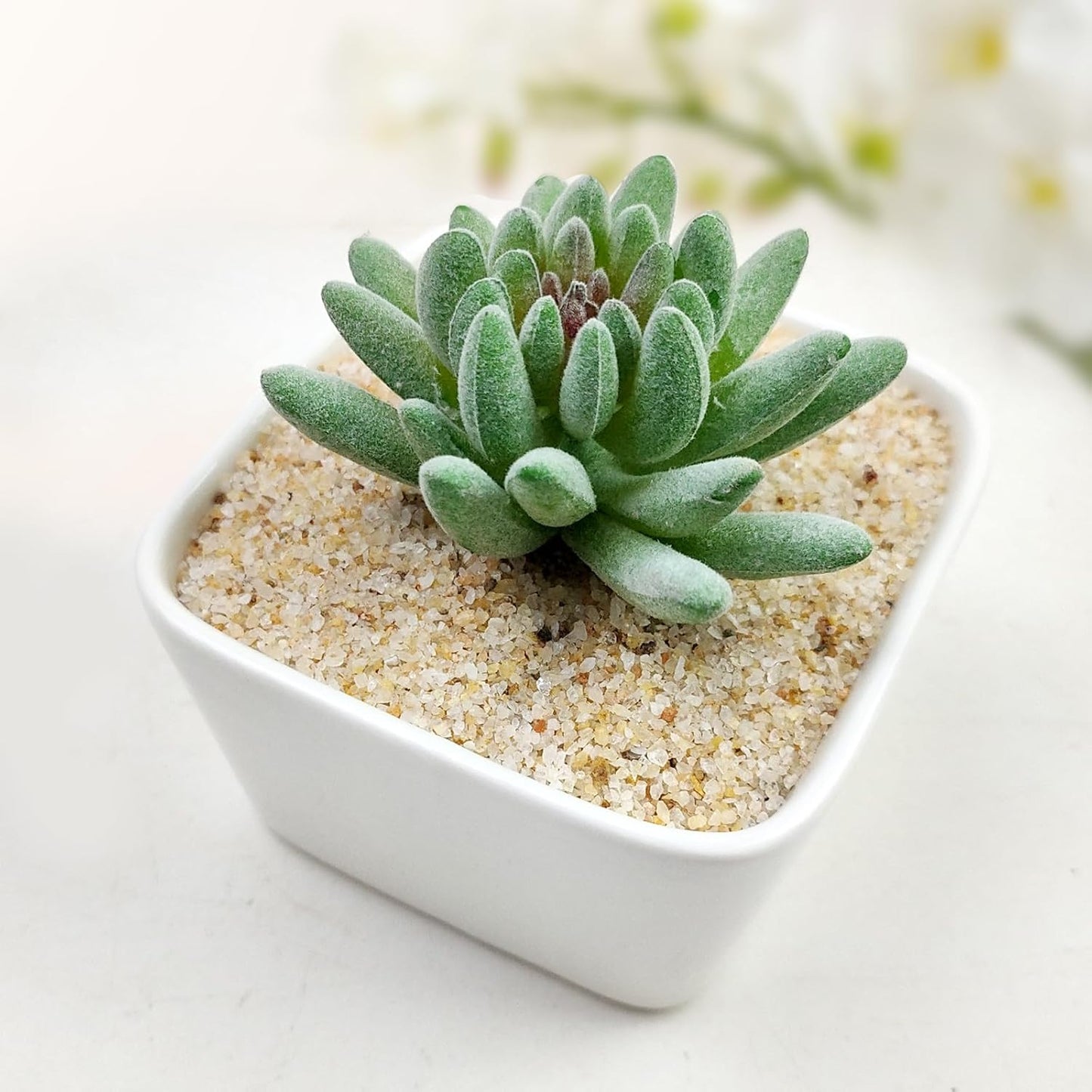 10 lbs Aquarium Silica Sand. Decorative Mini Aquarium Gravel Substrate for Fish Tank, Plants Potted, Fire Pits, Candle, Vase Filler and Crafts