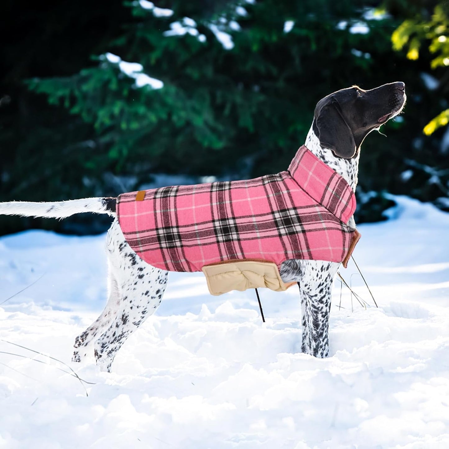 Kuoser Warm Dog Coat, Waterproof Dog Coats for X-Small Dogs, Adjustable Durable Doggie Winter Jacket Reversible Cozy Puppy Cold Weather Apparel from Small to Large Breed, Purple XS