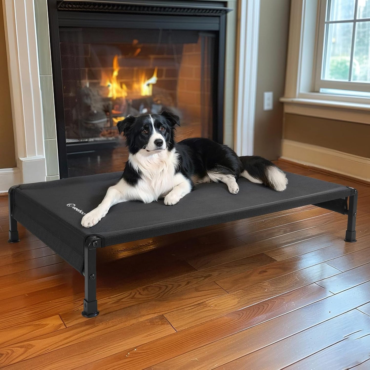 Veehoo Cooling Outdoor Dog Bed, Heavy Duty Elevated Pet Bed with Washable & Breathable Teslin Mesh, Non-Slip Silicon Feet, Dog Cot Bed with Support Hem, 41" x 27", Black, CWC2433
