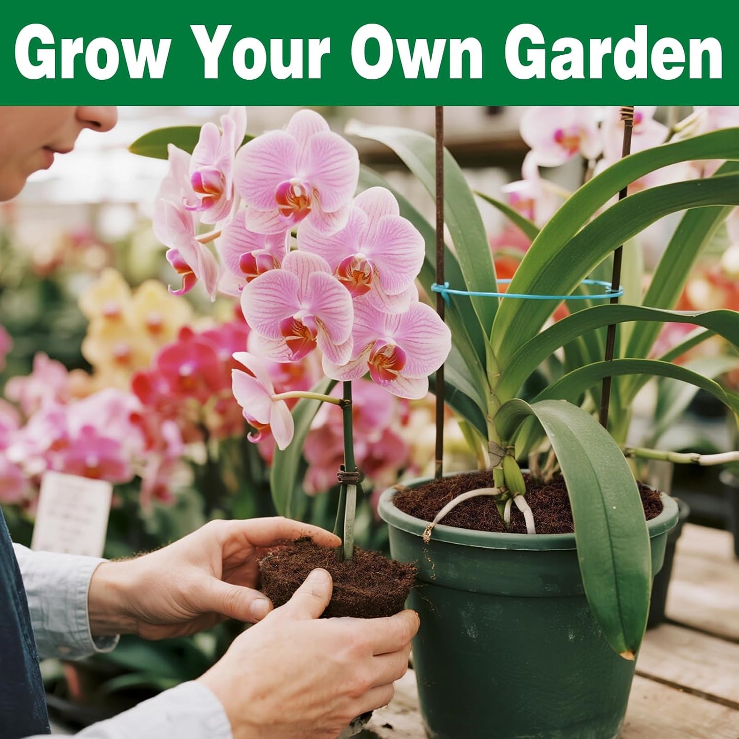 ZeeDix 2 Pcs Coco Coir Brick- 100% Organic Coconut Coir for Garden Soil & Potting Mix, Low EC and pH Balance, Compressed Coconut Husk Fiber for Seed Starter Soil for Indoor Outdoor Plants