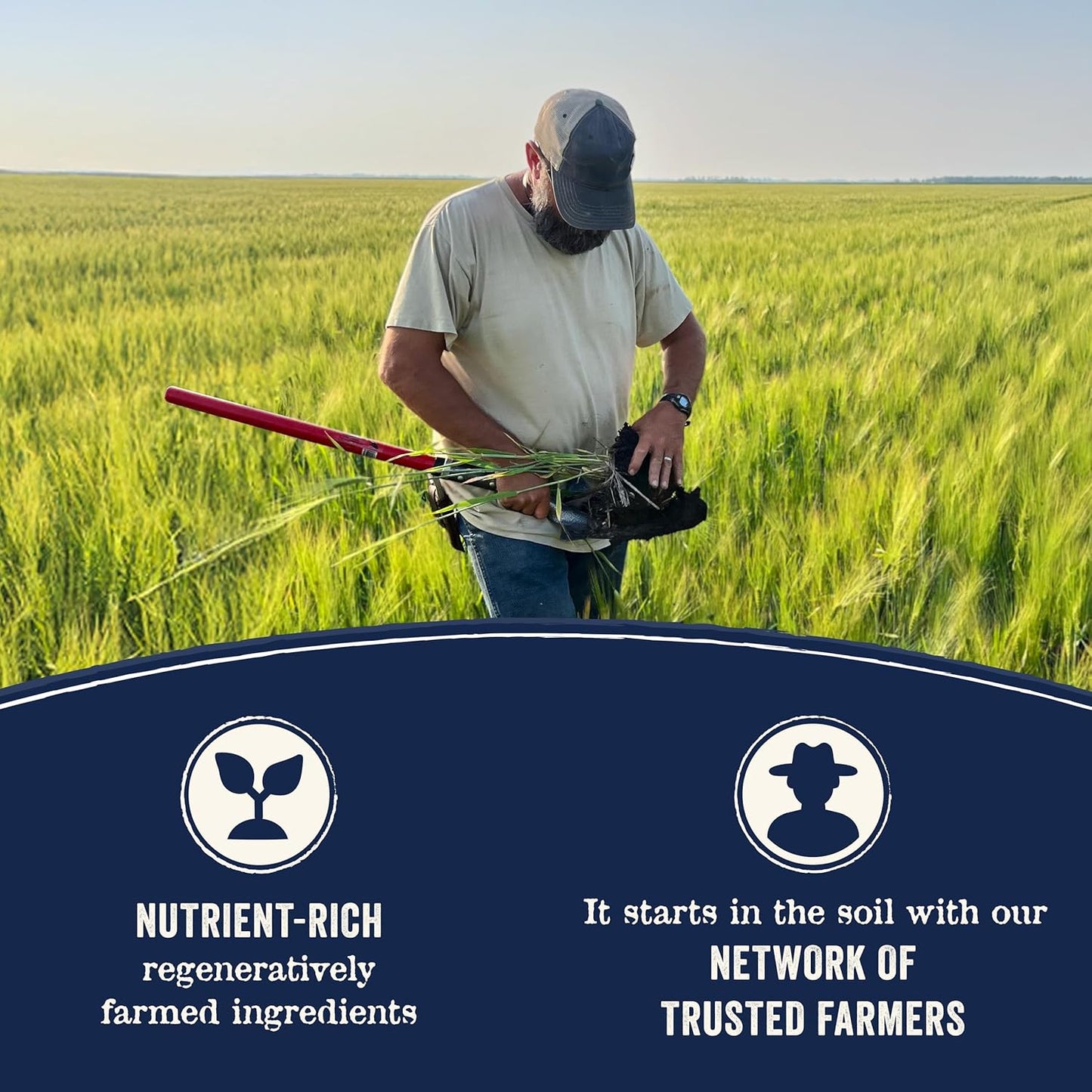 Canidae Pure Farm to Bowl Free-Range Chicken, Sweet Potato & Garbanzo Bean Grain-Free Senior Dog Food, Adult 22lb