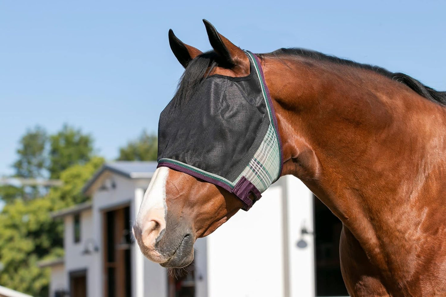 Kensington UViator CatchMask Horse Fly Mask with Web Trim UV Eye Protection Mask for Horse - Large, Imperial Jade