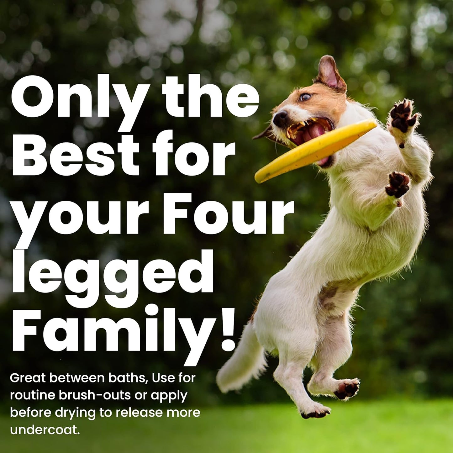 Ultra Vitalizing Mist Detangler, 1 gallon