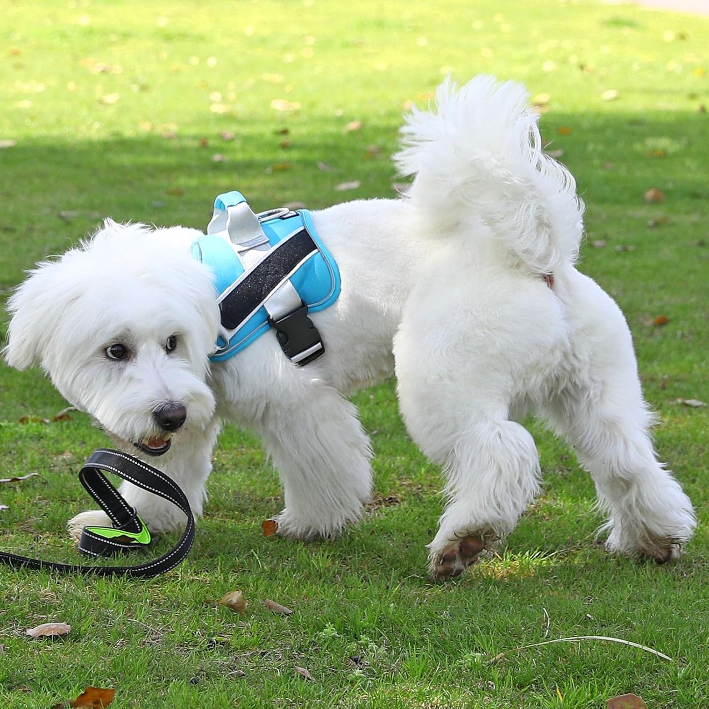 Bolux Dog Harness, No-Pull Reflective Dog Vest, Breathable Adjustable Pet Harness with Handle for Outdoor Walking - No More Pulling, Tugging or Choking (OceanicBlue, X-Small (Pack of 1))