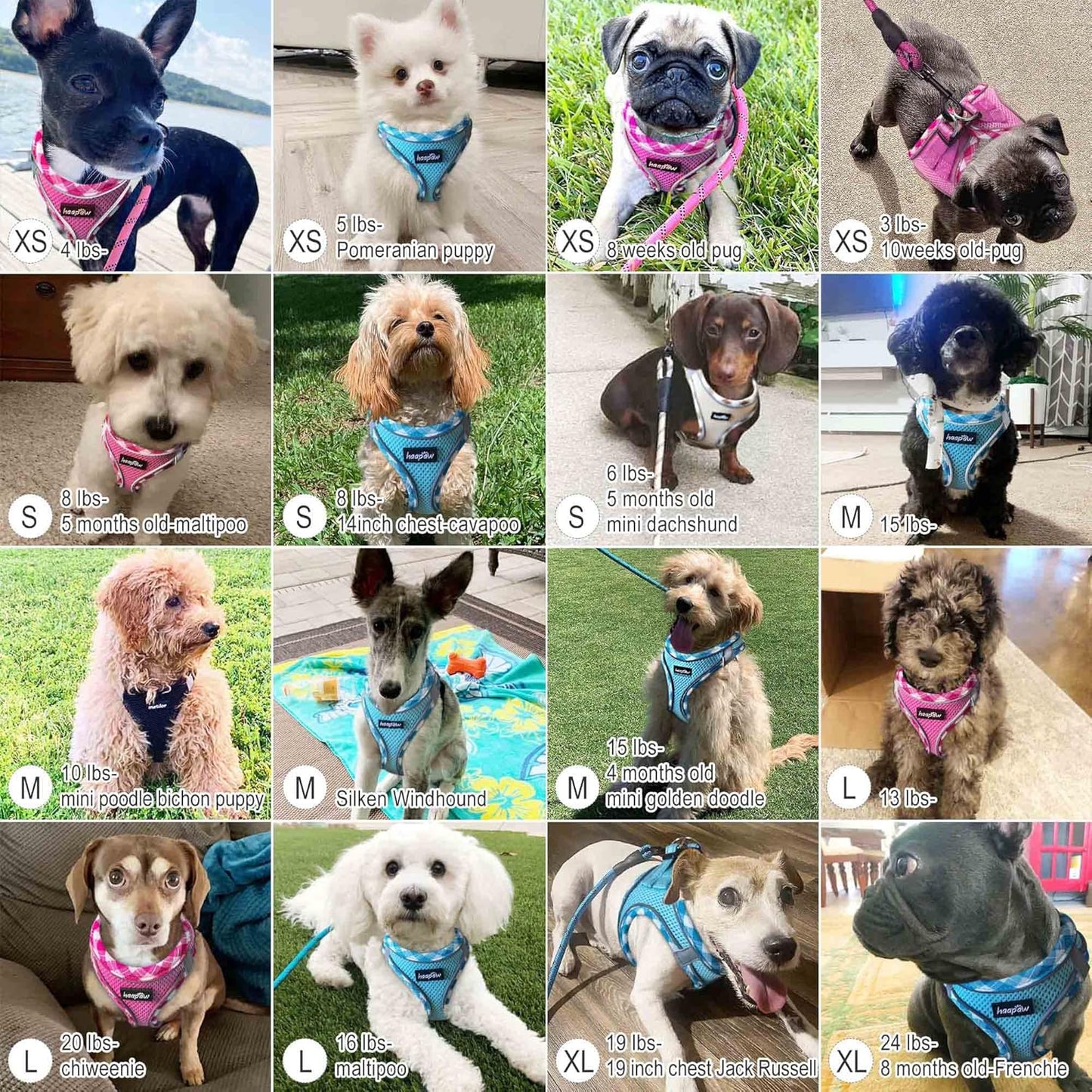 haapaw Dog Harness with Leash Set, No Pull Adjustable Reflective Step-in Puppy Harness with Thickened Padded Vest for Extra-Small/Small Medium Dogs