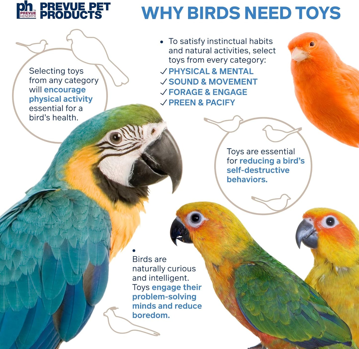 Pervue Pet Products Forage & Engage Thread Catcher Bird Toy 62514