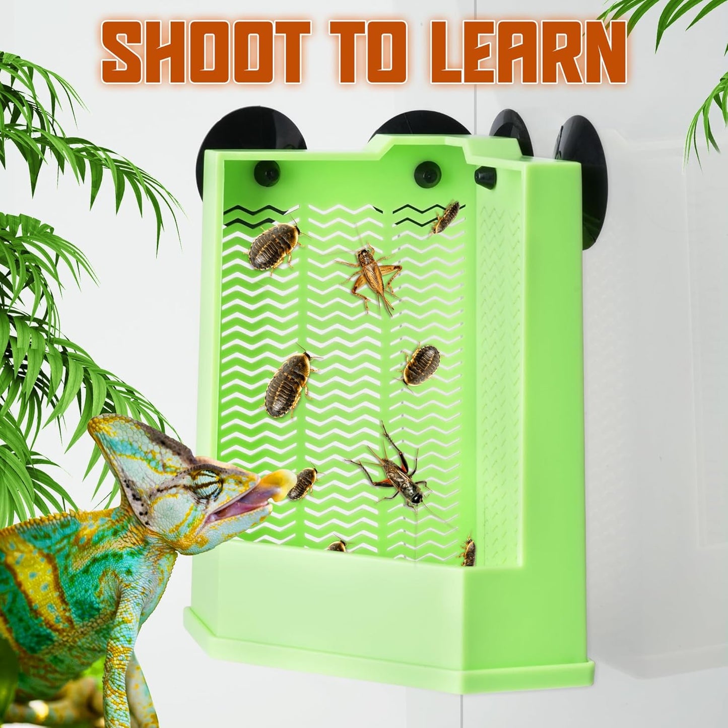 Reptile Corner Hunting Bowl - Glass Mount Insect Feeding Box for Reptile with Suction Cup which is Super Tight, Green, 6.29inch - M Size