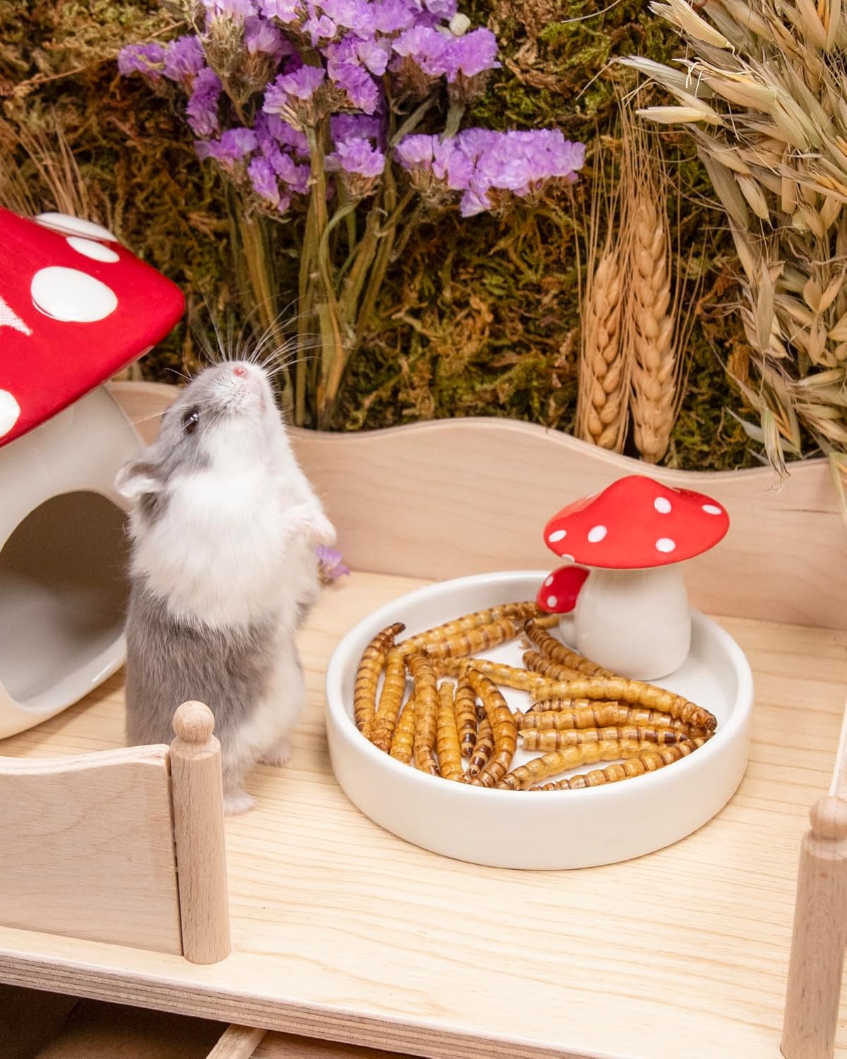 Niteangel Small Animal Snack & Treats - Small Critter Natural Treat for Dwarf Syrian Hamsters Gerbils Mice Sugar Glider Hedgehogs Chickens Birds (Dried Worms- 0.9oz (25g))