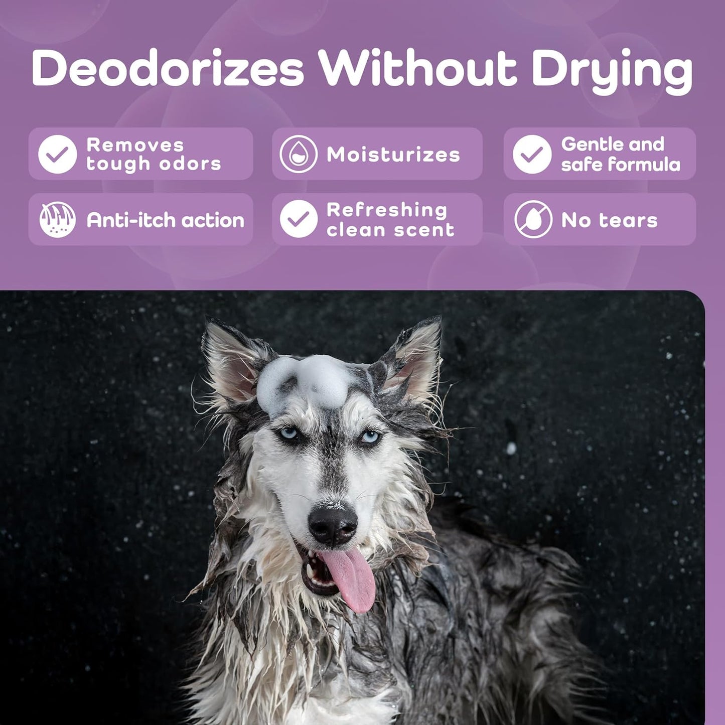 Sensitive Care -Tangle-Free-Silky Shine Softening and detangling Shampoo, Delicate Coat Clean & Odor Control Shampoo – Advanced Shine Formula for Dogs (Huskies, 16 Fluid Ounces)