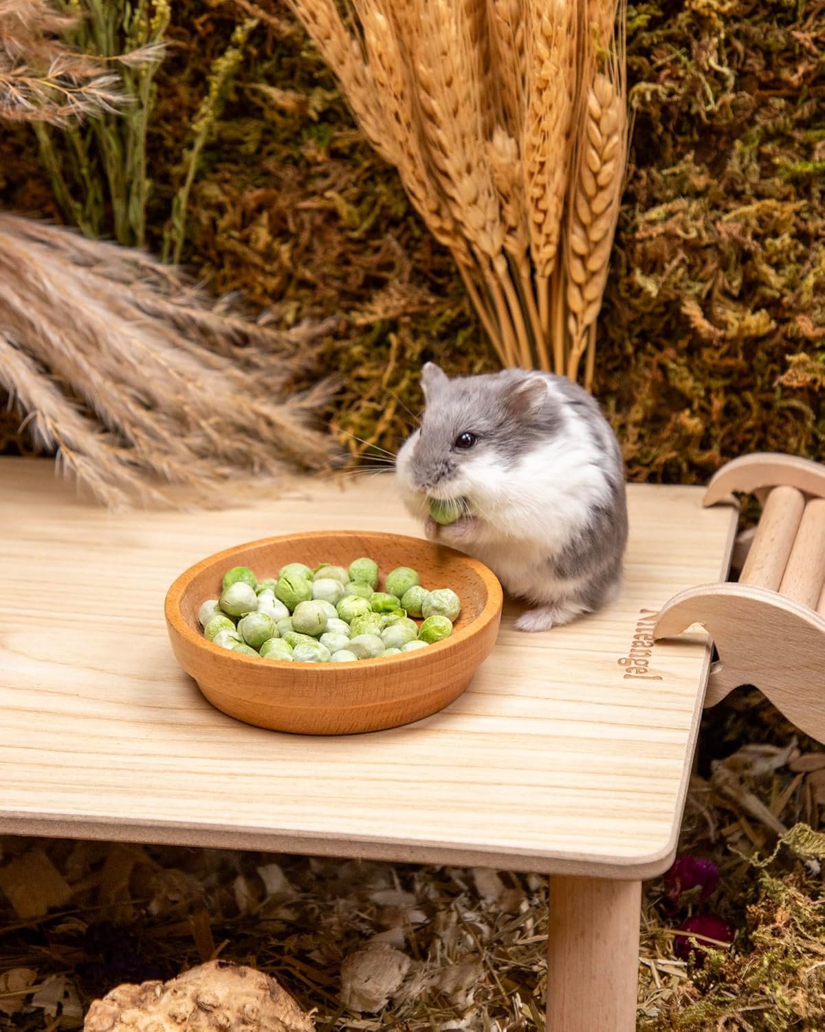 Niteangel Hamster Snack & Treats Toy - Small Animal Natural Treat for Dwarf Syrian Robo Hamsters Gerbils Mice Lemmings Degus or Other Small-Sized Pets