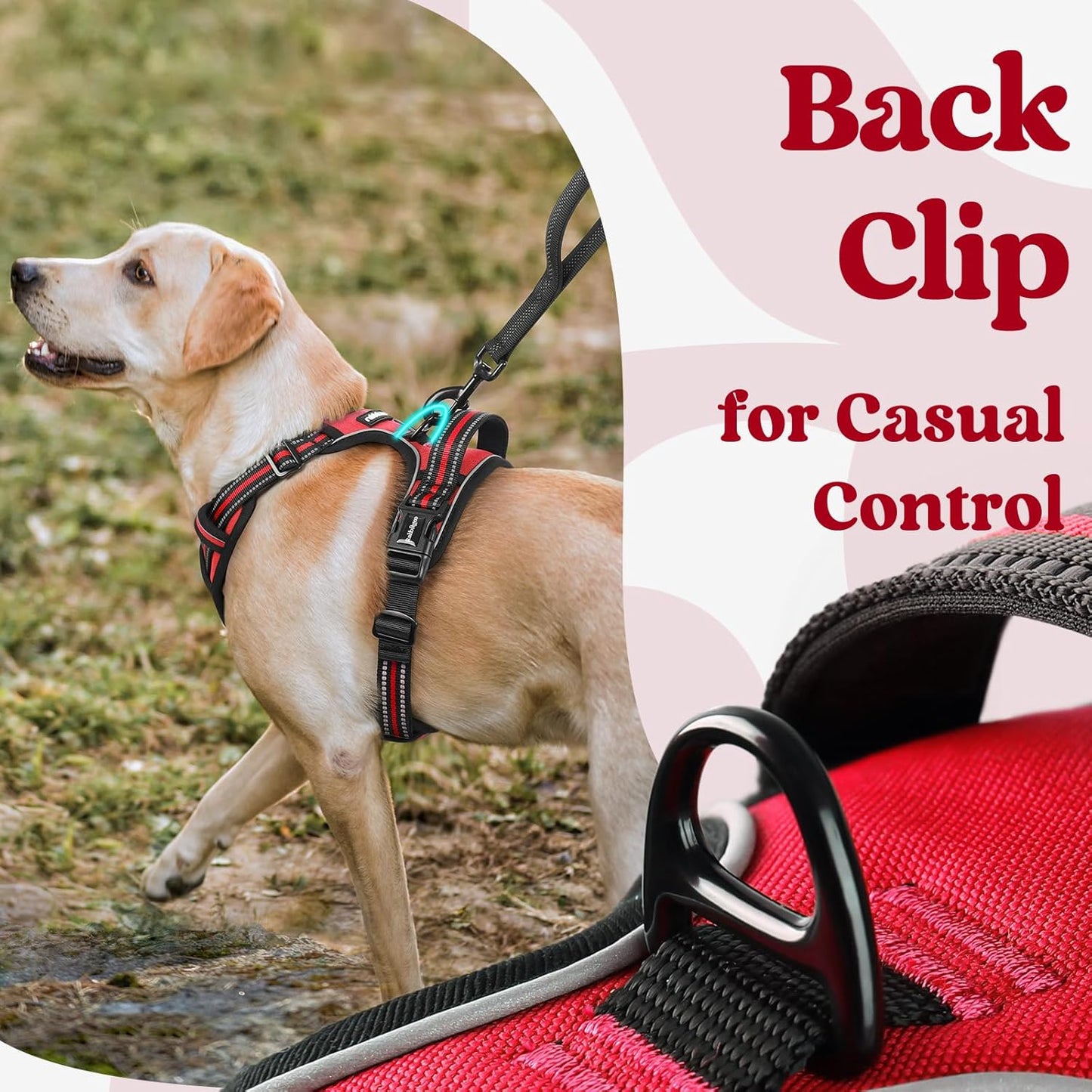 rabbitgoo Dog Harness Small Sized, No Pull Pet Harness with 3 Buckles, Adjustable Soft Padded Vest with Control Handle, Walking Reflective Pet Vest for Small Dogs, Red, S