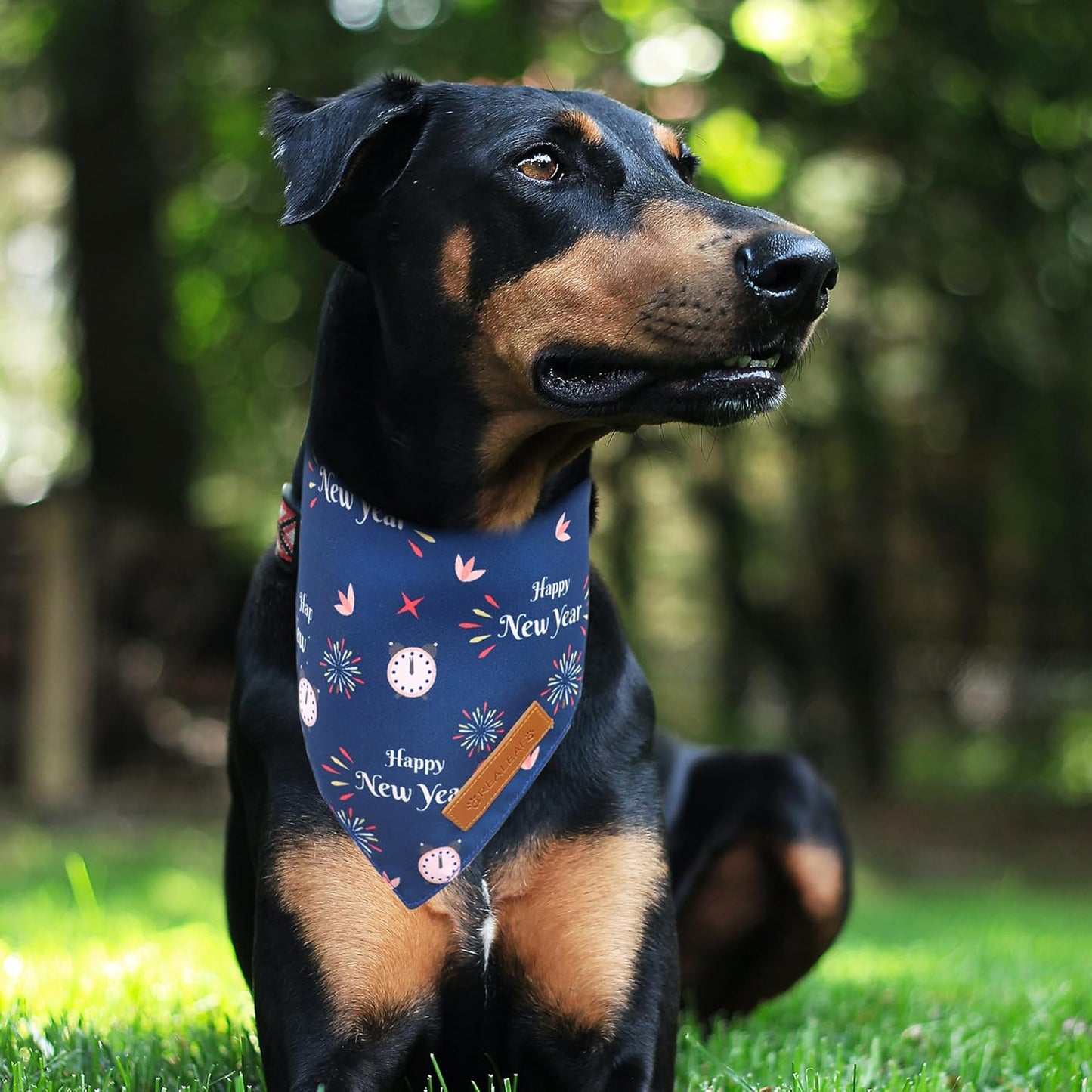 Realeaf Happy New Year Dog Bandanas 2 Pack, Reversible Holiday Pet Scarf for Boy and Girl, Premium Durable Fabric, Bandana for Small Medium Large and Extra Large Dogs (Small)