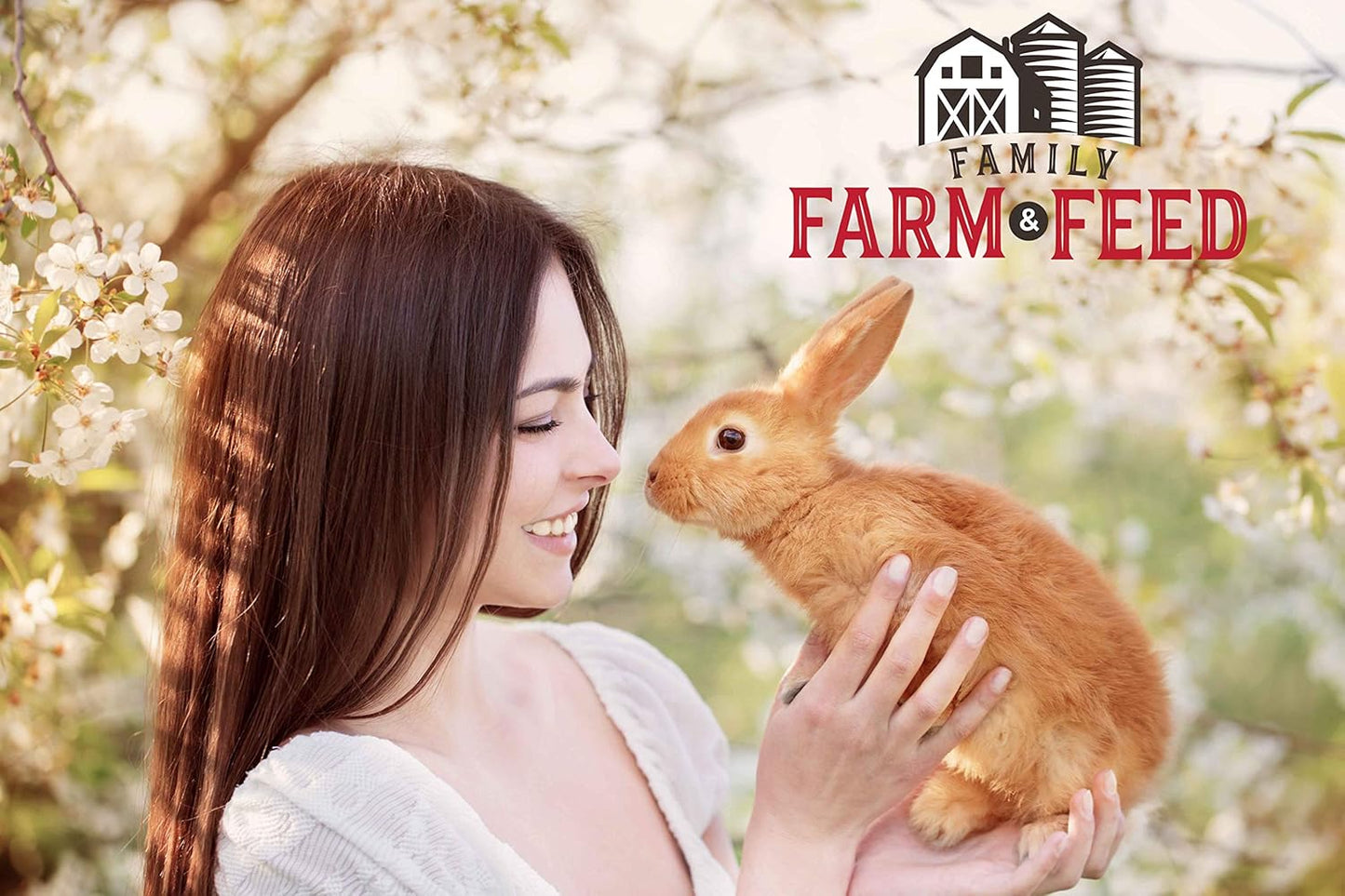 | Alfalfa Hay Food | Small Pet | Young and Adult | Cubes | 4 Pounds