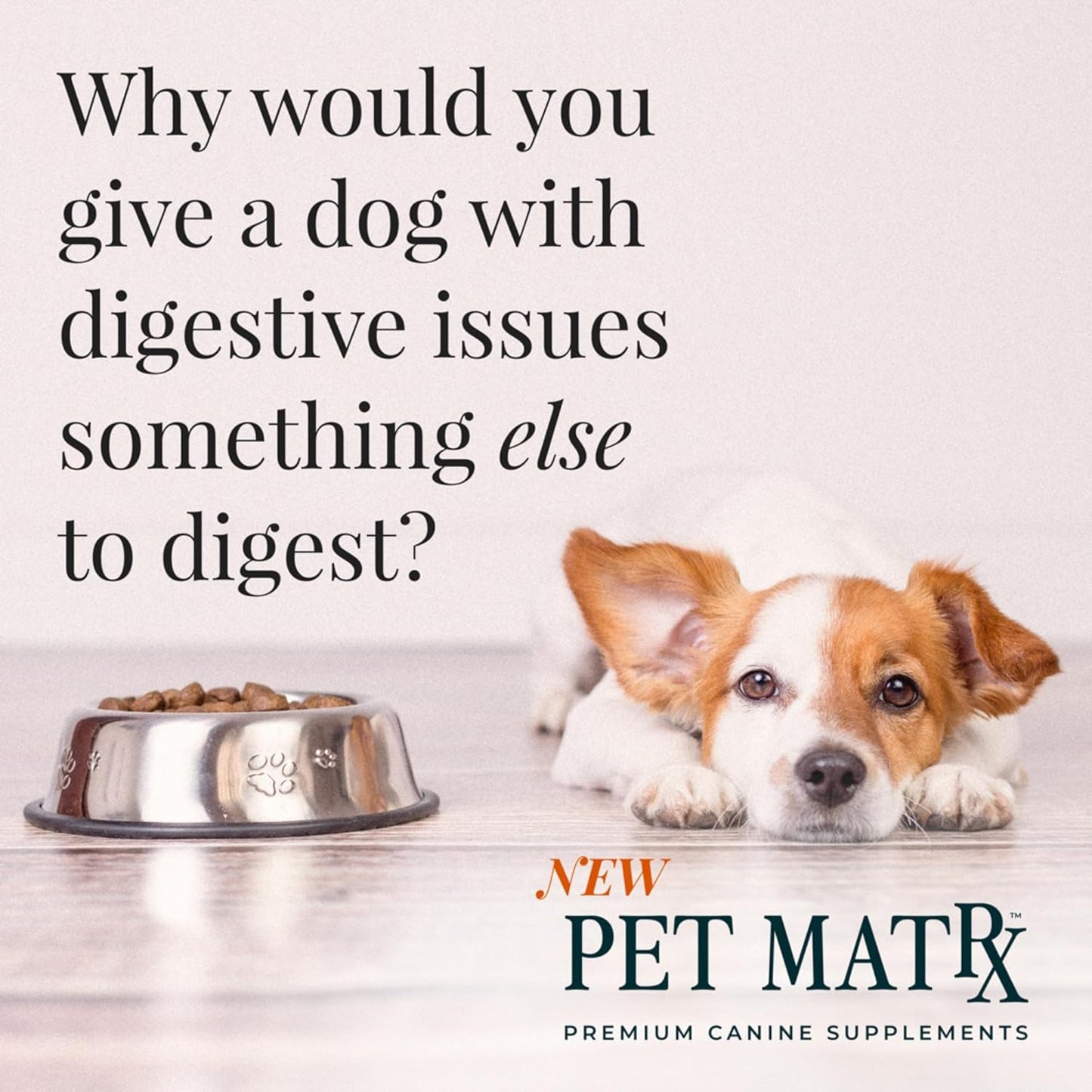 Think Cognitive and Calming Supplement with Collagen and Magnesium - Supports Nervous System Against Stress, Behavioral Challenges, and Cognitive Issues