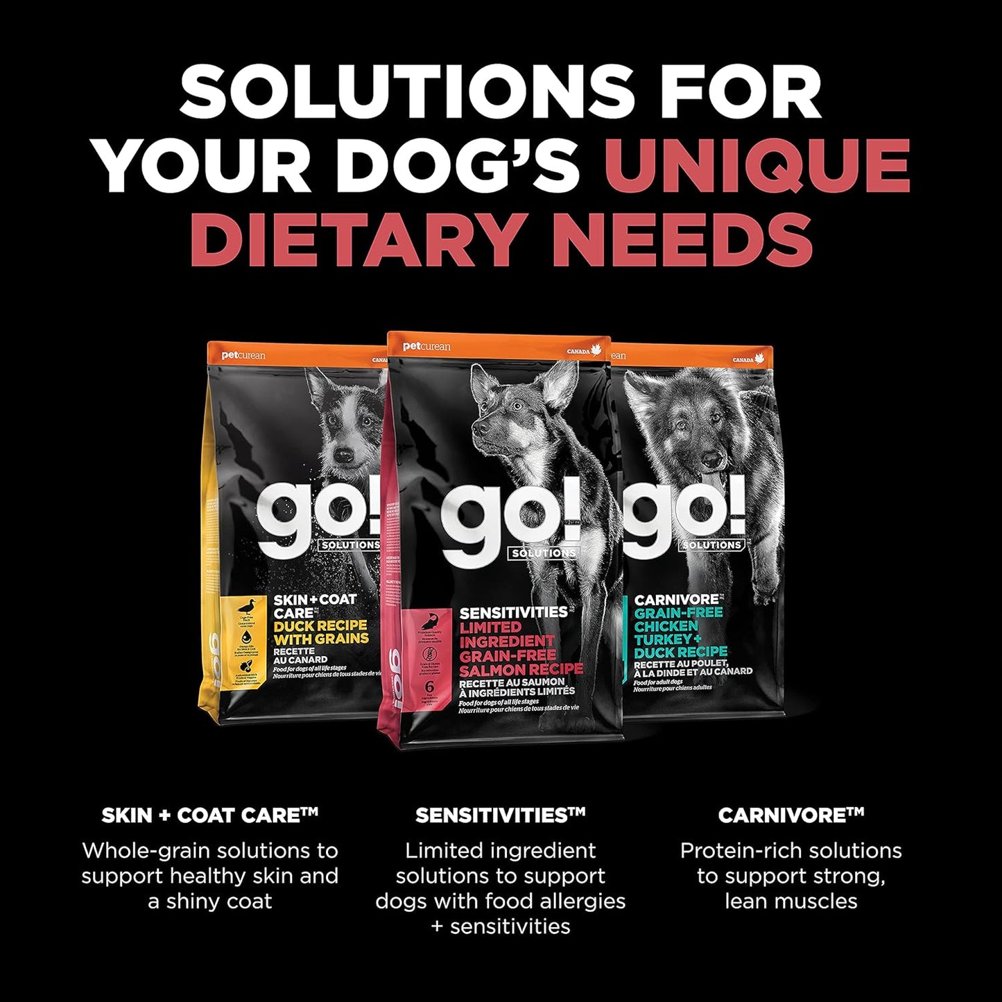 Go! Solutions Sensitivities Limited Ingredients, Grain-Free Dry Dog Food, Salmon Recipe for Sensitive Stomach, 3.5 lb Bag