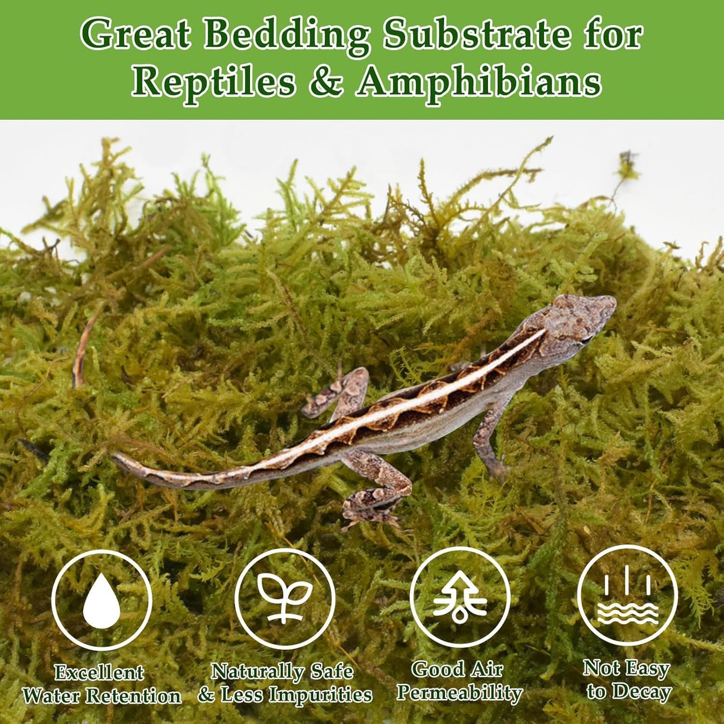 Halatool 1.1LB Natural Sphagnum Moss for Reptiles- 25QT Green Live Moss for Terrarium Plants Long Fiber Reptile Moss for Leopard Gecko Snake Hamsters Tortoises Frogs Lizards Salamanders