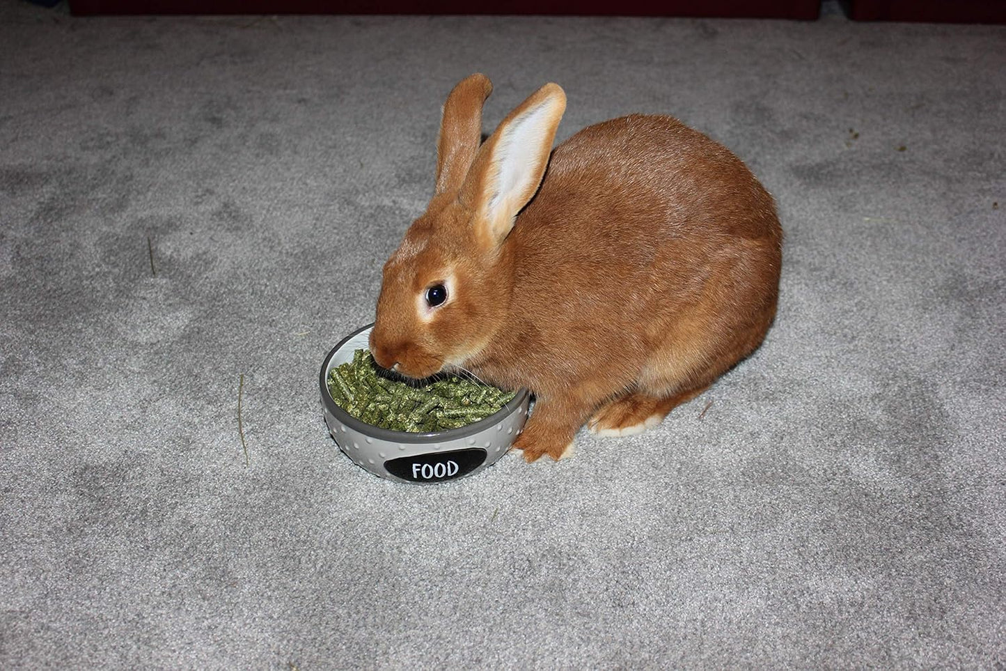 | Alfalfa Hay Food | Small Pet | Young and Adult | Pellets | 5 Pounds