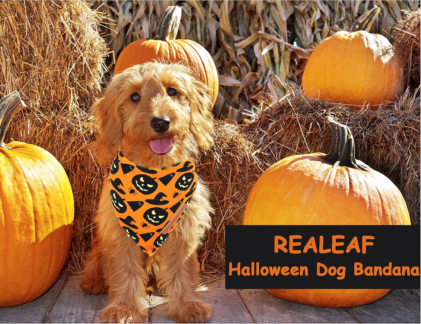 Realeaf Halloween Dog Bandanas 2 Pack, Pumpkin and Spider Web Bibs, Triangle Reversible Fall Pet Scarf, Premium Durable Fabric, Adjustable Fit (Small)