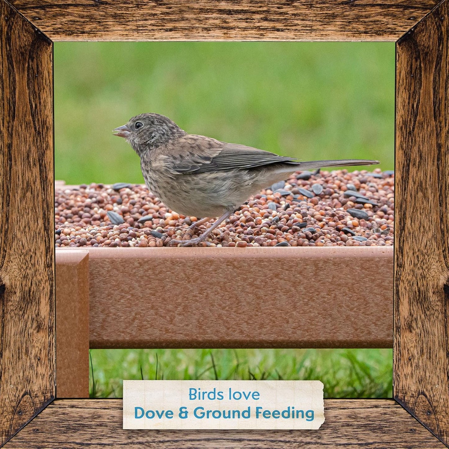 Morning Song Dove & Ground Feeding Wild Bird Seed -12 lb. Dove, Quail & Pigeon Wild Bird Food for Outside Feeders