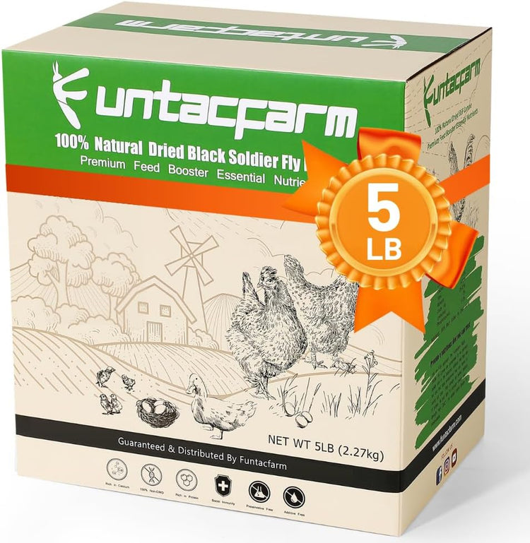 Backyard Birding & Wildlife