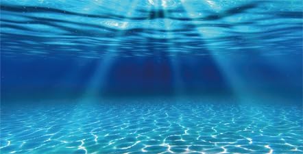 30X12IN Natural Undersea Aquarium Background, Underwater Ocean Sunlight Fish Tank Background 36X18IN with 8 EVA Double-Sided Tape