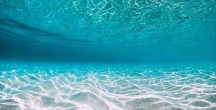 36X24IN Natural Undersea Aquarium Background, Undersea Beach Fish Tank Background, with 8 EVA Double-Sided Tape